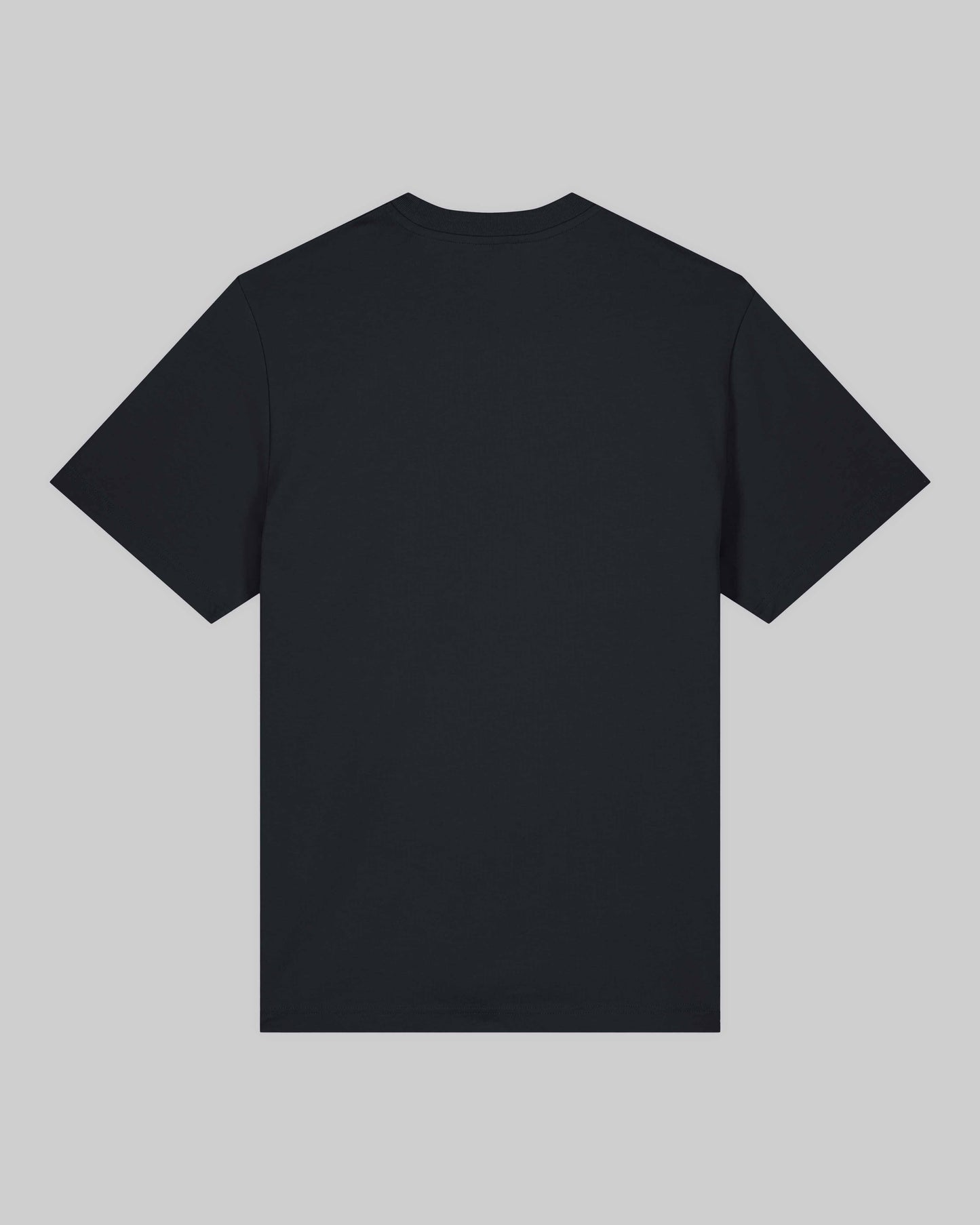 unisex Organic Shirt 2.0 "queer Regenbogen" in 2 verschiedenen Farben und insgesamt 6 verschiedenen Varianten